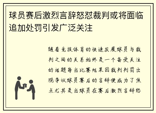 球员赛后激烈言辞怒怼裁判或将面临追加处罚引发广泛关注